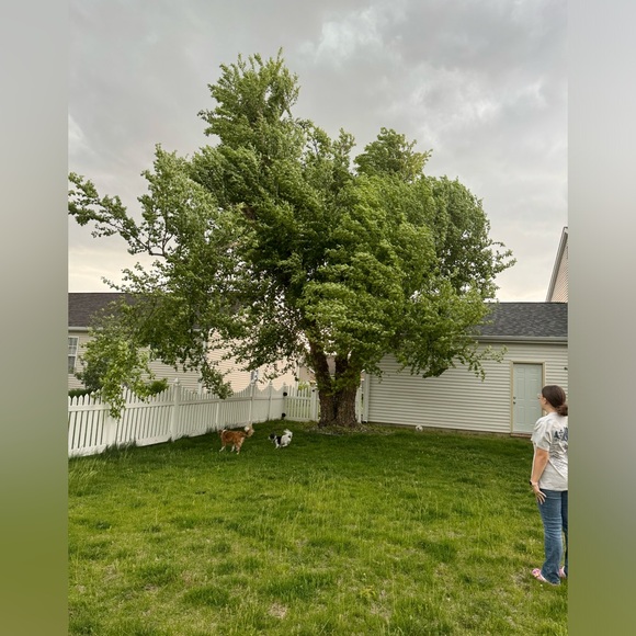 Meet your Posher, Candice - Picture 1 of 1